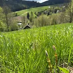 Stribrna Chaloupka Na Vyhlidce Stribrnice (Sumperk)