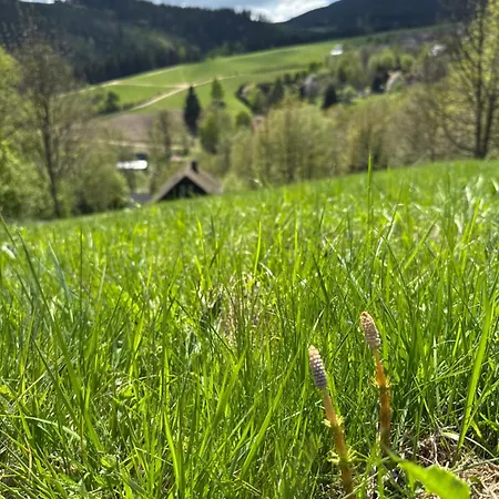 Stribrna Chaloupka Na Vyhlidce Stribrnice (Sumperk)
