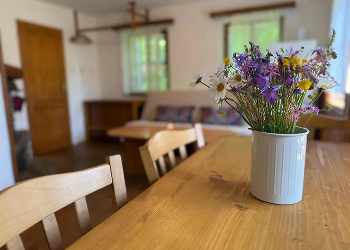 Lodge Stribrna Chaloupka Na Vyhlidce *
