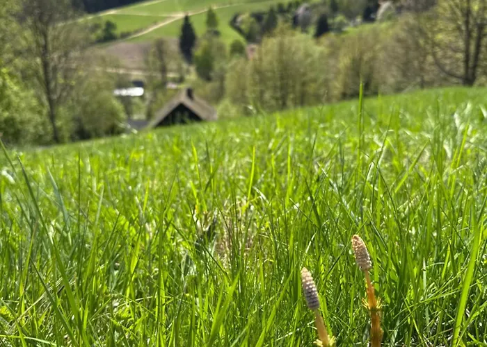 Stribrna Chaloupka Na Vyhlidce Stribrnice (Sumperk)